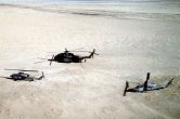 Image: U.S.M.C. AH-1W Sea Cobra Helicopters