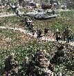 Image: American evacuees walk to a U.S. Marine Corps CH-53 helicopter in Tirana, Albania.