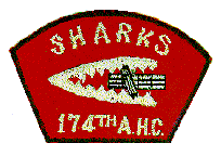 Image: 174 Aviation Patch